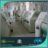 Turn-Key Project Wheat Flour Factory with Price 300tones