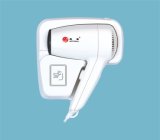 Wall-Mounted Hair Dryers (RCY-67250)
