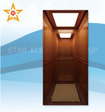 Villa Elevator with Wooden & Mirror Finish Xr-J05