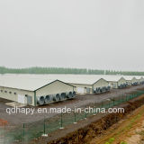 Light Steel Prefabricated House for Poultry Farm