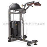 China Olympic Team Supplier Standing Calf Gym Equipment / Fitness Equipment with 20 Years Experiences