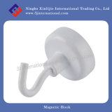 Magnetic Hook/Steel Hooks with White Coating