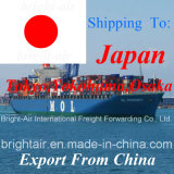 Cargo Shipping From China to Kobe, Moji, Hakata, Hiroshima, Shimizu