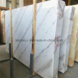 Big Slab Athens White Marble for Countertop