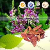 Natural Herbal Medicine Raw Material Caulis Spatholobi