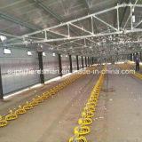 Full Set High Quality Steel Structure Broiler House