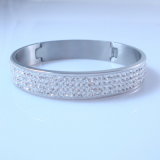 2012 Hot Stainless Steel Bangles (HBNB00008)
