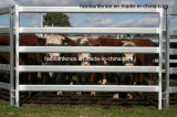 40X80mm Oval Rails Livestock Panels