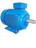 Y2 Series AC Electric Motor Cast Iron 2p 0.75kw