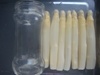 Canned White Asparagus (580ml/16cm)