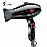 Compact Professional Hair Dryer with CE #5867