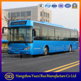 6 Meter - 12 Meter, 18 Seats - 60 Seats Buses