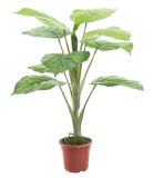 2014 Hot Sell Factory Price Artificial Plants 151