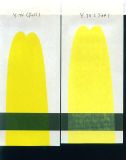 Pigment Yellow (P. Y. 74)