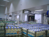 Cold Storage Warehouse (BINGDI)