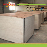 Furniture / Packing Use Timber Plywood / Okume Plywood