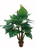 Artificial Plants and Flowers of Tiger Taro 143cm Gu-Bj-866-51-3-2