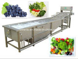 Industrial SUS 304 Fruit Washing Equipment