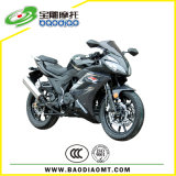 Racing Motorcycle (BD150-20-IV)