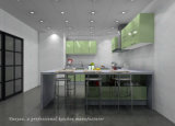 Competitive Lacquer Kitchen Cabinets (S023)