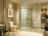 Fashion Design Golden Frame Shower Room