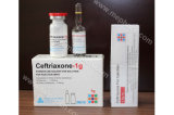 Ceftriaxone for Injection 1g, Ceftriaxone for Injection 500mg