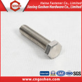 High Quality Stainless Steel Hex Bolt (DIN933, DIN931)