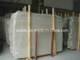 Top Sell Fossil Grey Marble Slabs