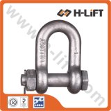 Bolt Type D Type Chain Shackle with Safety Pin