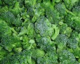 Best Vegetable Suppliers Supplyffrozen Vegetables Broccoli