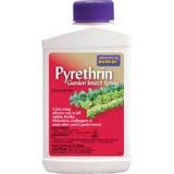 Pyrethrin 70%Tech