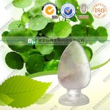 100% Pure Natural Asiatic Acid / Hydrocotyl Extract / Sitic Cid CAS No.: 464-92-6