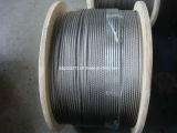 AISI304 Stainless Steel Wire Rope with ISO9001: 2008