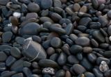Pebbles, Culture Stone