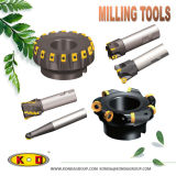 Milling Tools /Mill Bodies for Apkt Lnkt Hnex Sdmt Seet Inserts