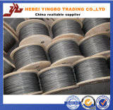 Hot Sales Electronic Galvanized Iron Wire Rope