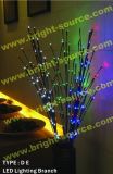 Rice/LED Lighting Branch