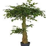 2014 Newly Artificial Ficus Bonsai Tree Fake Decoration Plant