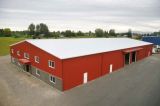 Prefabricated Steel Structure Warehouse/Farm Storage Building (SSW-583)
