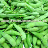 Individual Quick Frozen Green Soybeans for Delicious Cooking Recipe