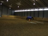 Horse Riding Arena Steel Bulding (SS-355)