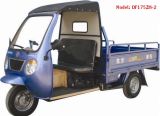 Fashionable 175CC Cargo Tricycle (DF175ZH-2)