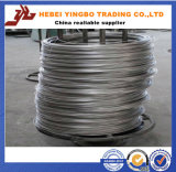 Bwg 12 14 16 18 Hot Dipped / Electric Galvanized Iron Wire