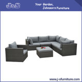Outdoor Furniture Sofa Set (J431)