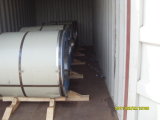 Color Coated Steel Coil (with RAL color)