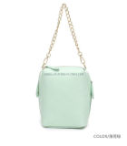 Fashion Handbag (F013)