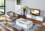 2015 Modern Living Room Furniture TV Bench TV Stand (DS-198)
