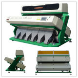 Newest High Output Beans/Peas CCD Color Sorter/Bean Product Processor/Self-Assembly and Self-Adjusting Processing Machinery