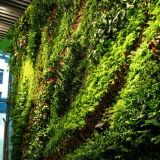 High Quality Artificial Plants and Flowers of Green Wall