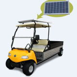The Solar Panel Electric Utility Car /Buggy 2